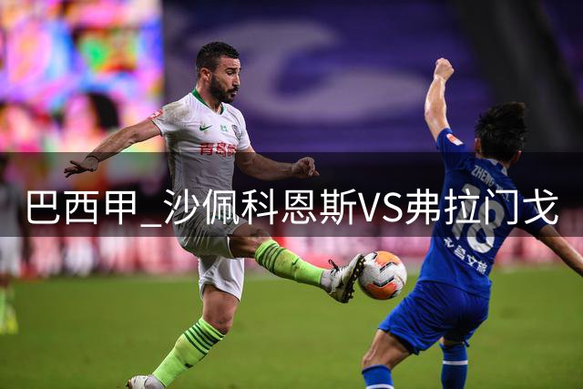 巴西甲 沙佩科恩斯VS弗拉门戈