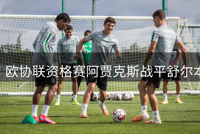 欧协联资格赛阿贾克斯战平舒尔本 总比分5-3晋级